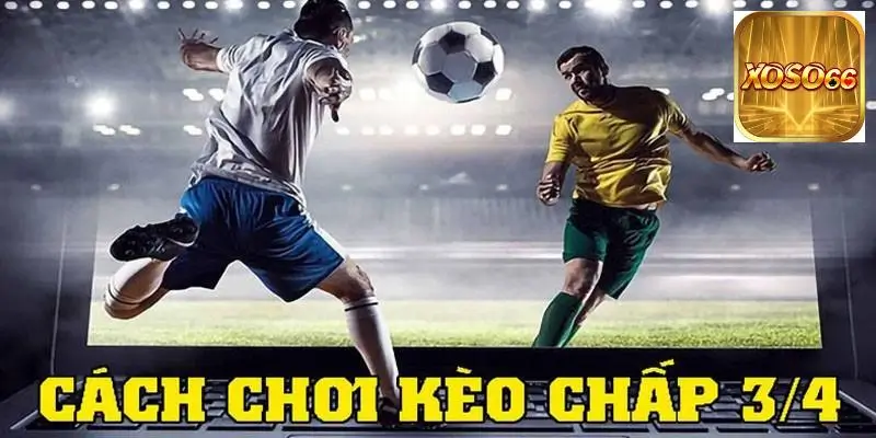 Phương pháp đọc bảng kèo dễ hiểu về tỷ lệ kèo ¾ tại nhà cái Xoso66